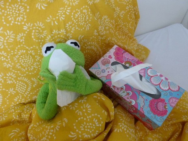 Silver Linings of the Stomach Bug kermit, kleenex, tissue, sick