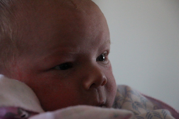 Back in the Saddle Again: Newborn Nights baby girl