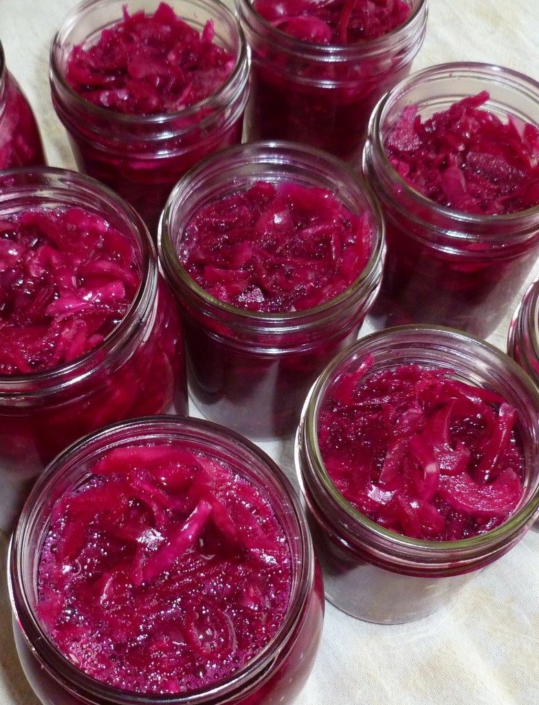 Bountiful Bacteria fermentation
