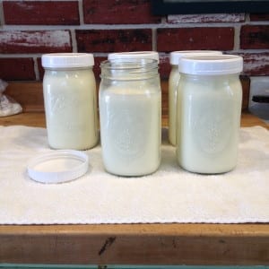 Yogurt, Yogurt making