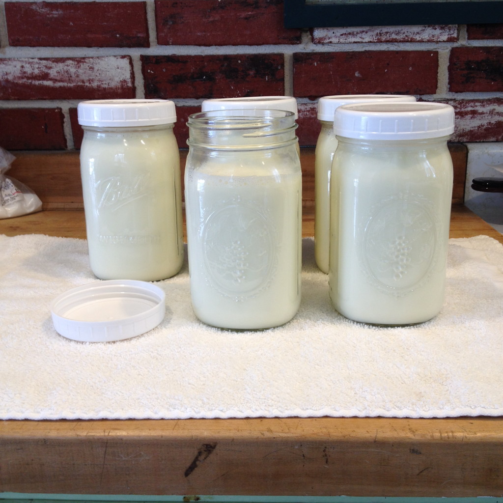 Yogurt, Yogurt making