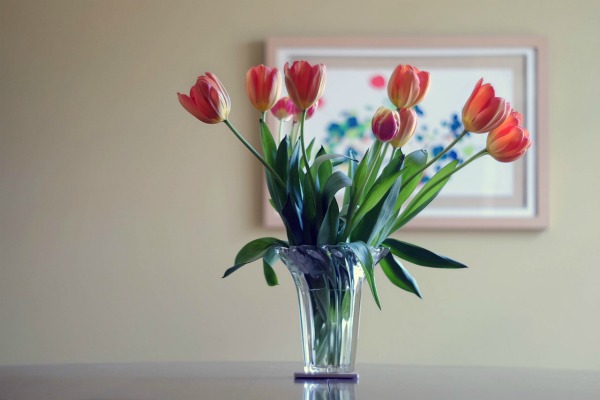 My Mother’s Day Wish List Flowers, tulips