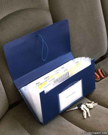 Organized Car 1