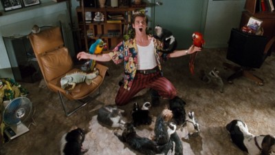 When Nature Attacks…in a suburb in Vermont. Ace Ventura Pet Detective