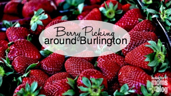 Berry Picking Options Around Burlington