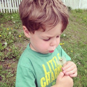 Emmet blowing dandelions