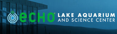 echo-lake-aquarium-1