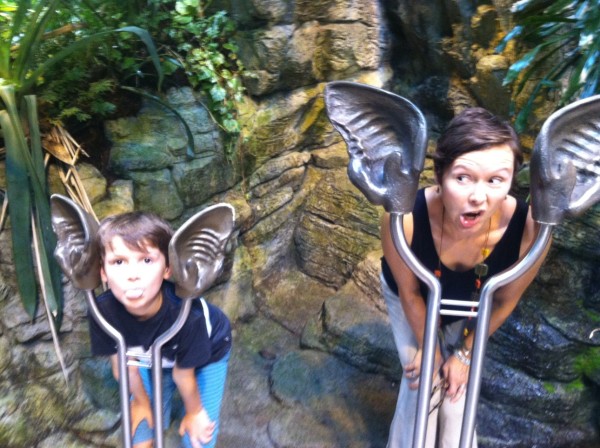 montreal biodome, bats
