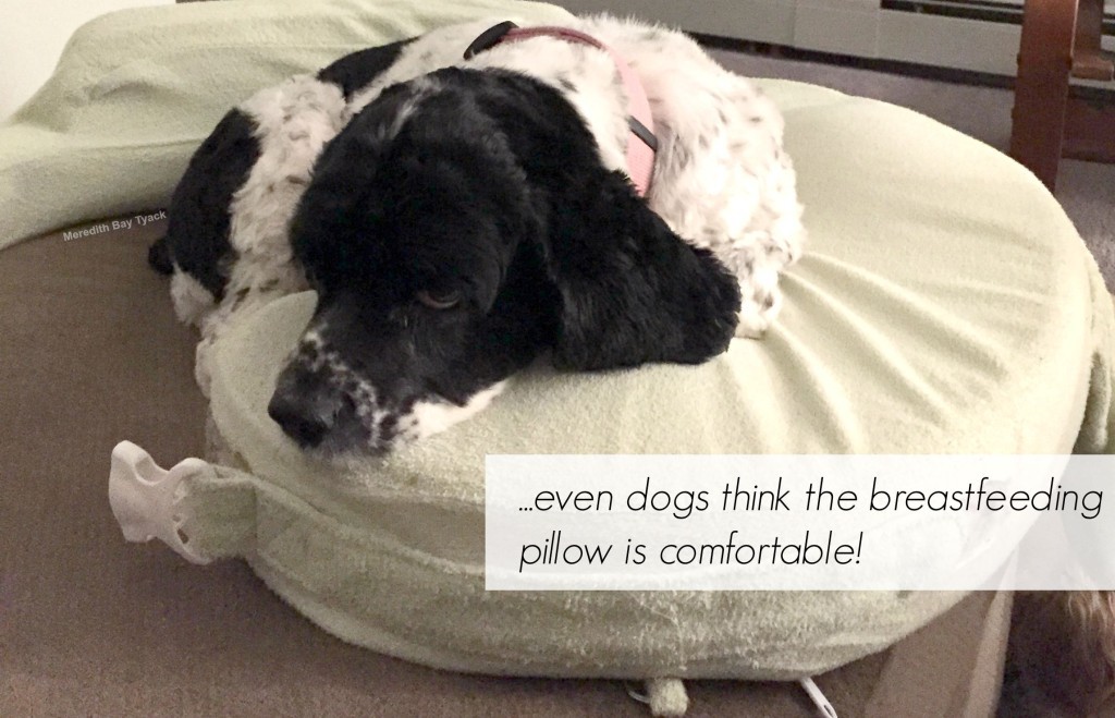 dog my brest friend breastfeeding pillow meredith bay tyack