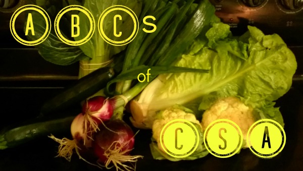 The ABCs of CSA onions, lettuce, zucchini, cauliflower