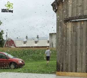farm, job, teenager