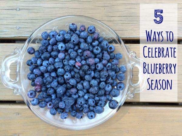5 Ways to Celebrate Blueberry Season