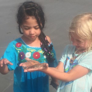 Girls examining a jellyfish in York, Maine