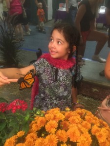 Butterfly tent at the Champlain Valley Fair