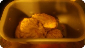 bread dough, pan
