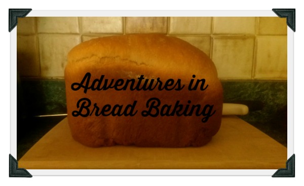 Adventures in Bread Baking bread