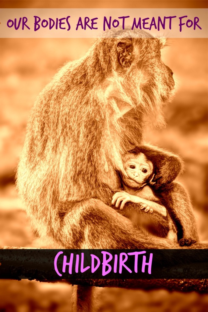 Our Bodies Are Not Meant For Childbirth mother monkey breastfeeding baby