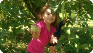 girl, apple, apple tree