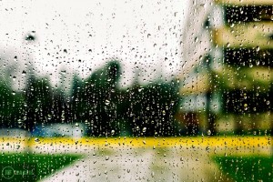 window, rain, building