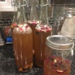 kombuchasecondferment