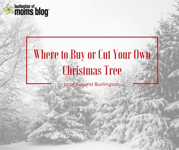 Where to Buy or Cut Your Own Christmas Tree In and Around Burlington Christmas, holidays, Christmas, tree, traditions, burlington