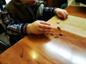 handsontable