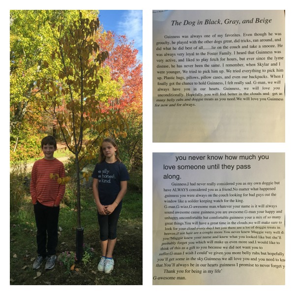 death of a pet, dogs, funeral, memorial tree, grief, mourning