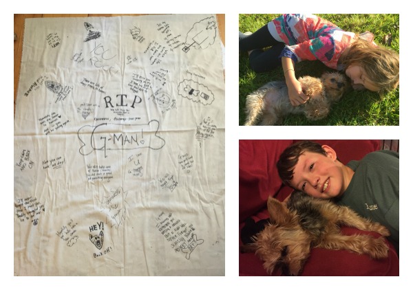 grief, mourning, dog, saying goodbye