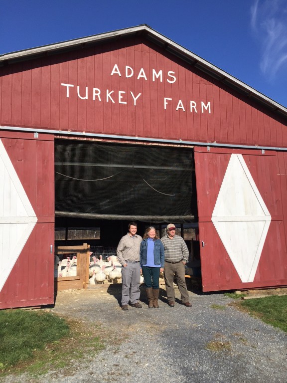 turkey, farm, local
