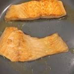 salmon
