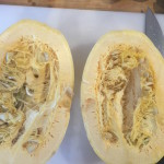spag squash