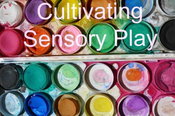 Cultivating Sensory Play