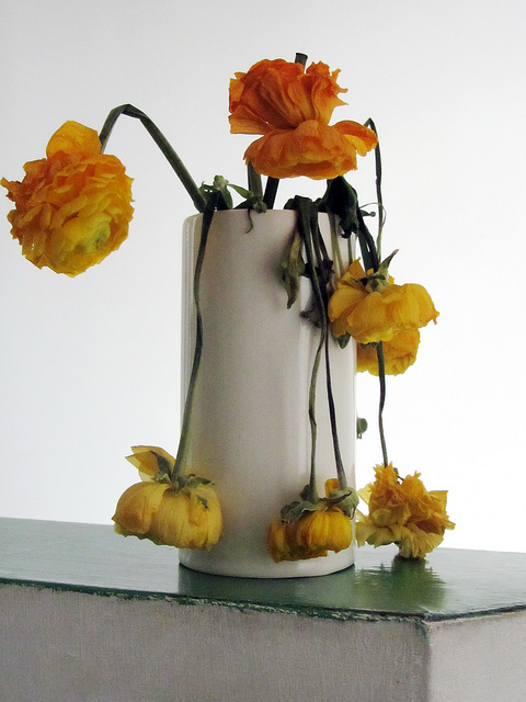 Wilted flowers in a white vase.