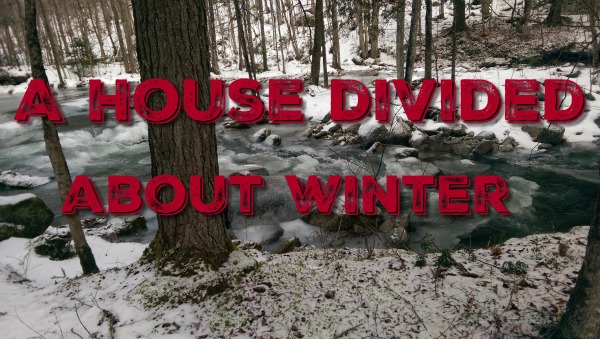 A House Divided About Winter snow, trees, river