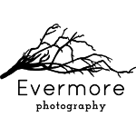 $30 off Coupon for a Newborn Photo Shoot evermore photography