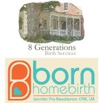 One Hour Session for Pre-conception Planning, Pregnancy, Labor and Birth, or Parenthood Mapping (value: $150) 8 generations