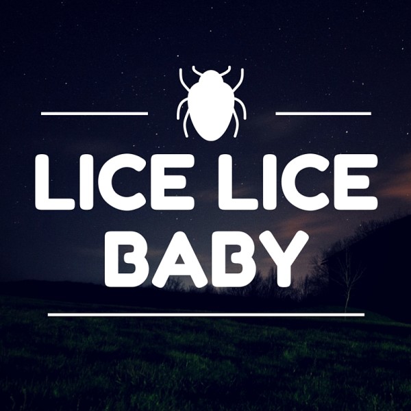 Louse House: We got lice.