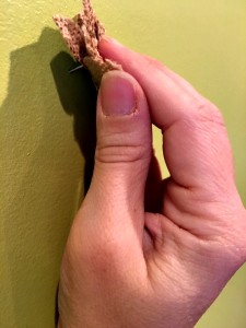 nail, flower, hand