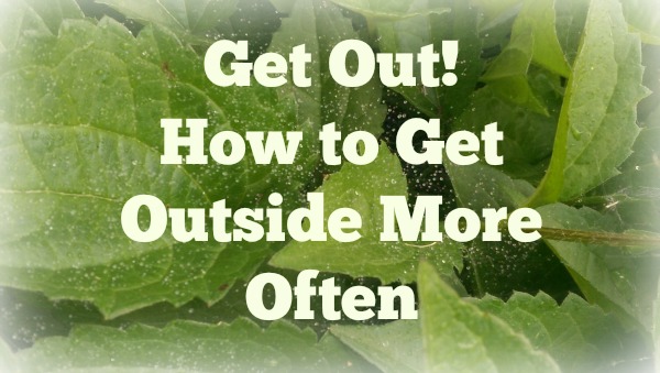 Get Out! How to Get Outside More Often in Vermont! leaves