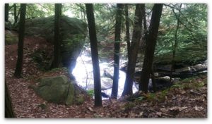 tress, rocks