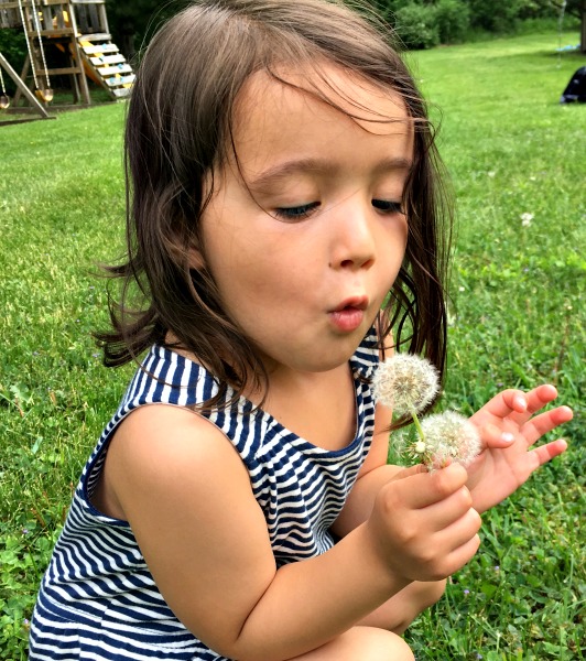 girl, dandelion, making wishes