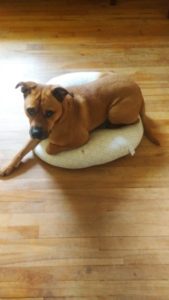 Poppy lounger: necessary?
