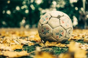 soccer ball, leaves