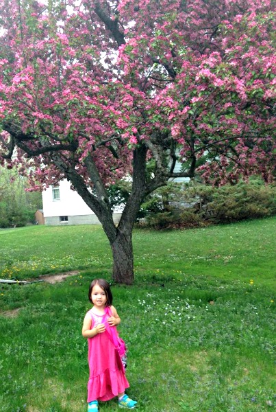 girl, tree, yard