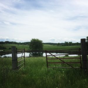 Even the fields aren't in order.