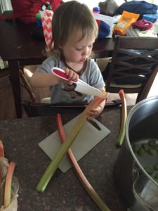 toddler rhubarb