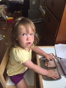 cookie- a sweet treat after dinner