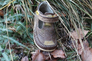 shoe