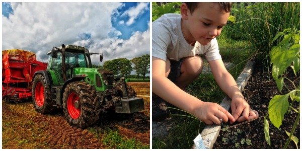 Our local Farm to School program provides local produce for free hot lunches across the state of Vermont.