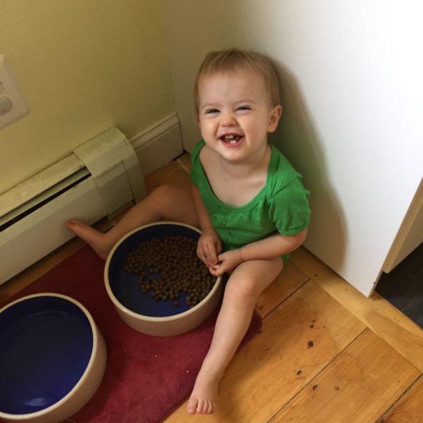 Five “Delicious” Things My Toddler Ate Today